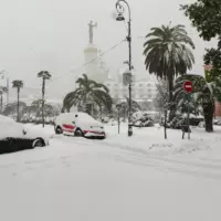 стас