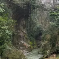 XXXL (12)